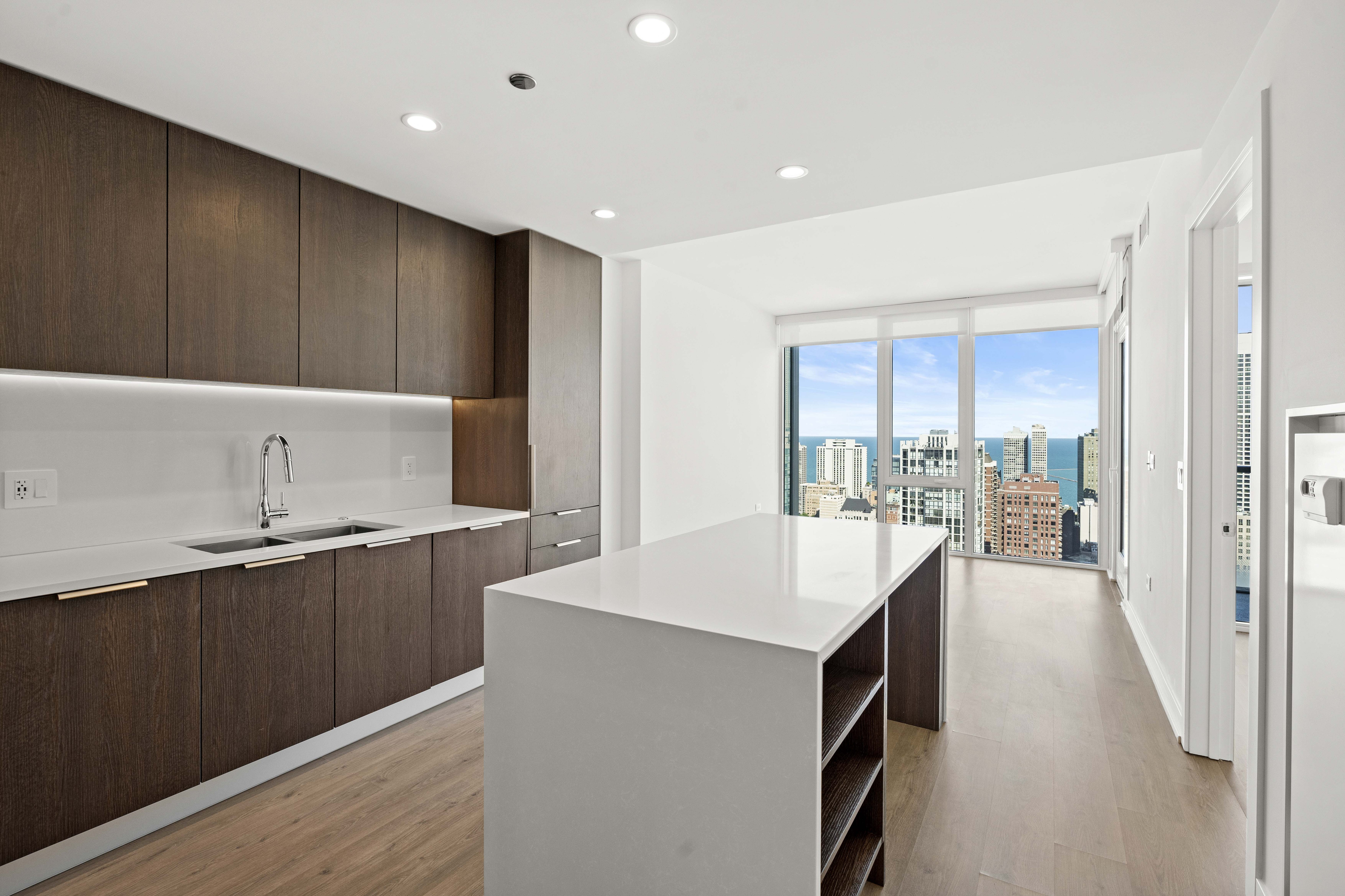 Chicago Condo: 338 W Hill St