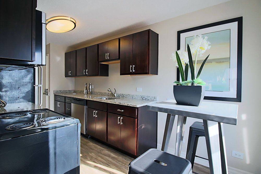 Chicago Condo: 38 W Chestnut St