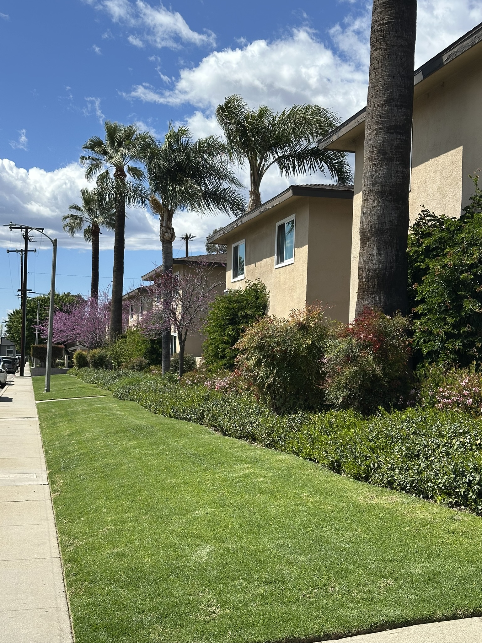 Azusa Apartment: 1181 E. Hollyvale Street