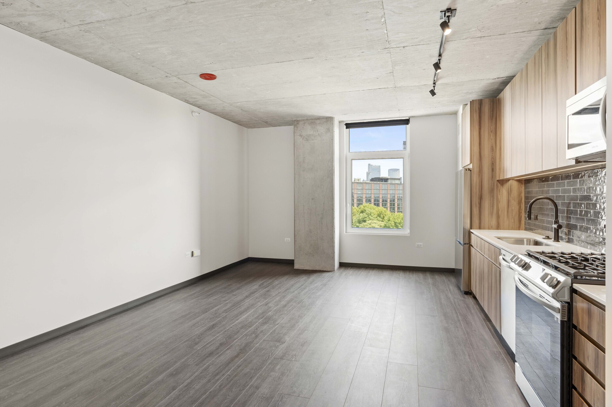 Chicago Condo: 154 N Ashland