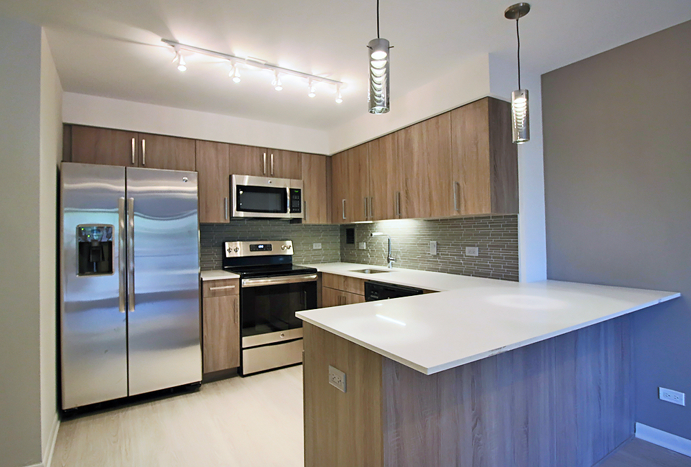 Chicago Apartment: 899 South Ashland Ave