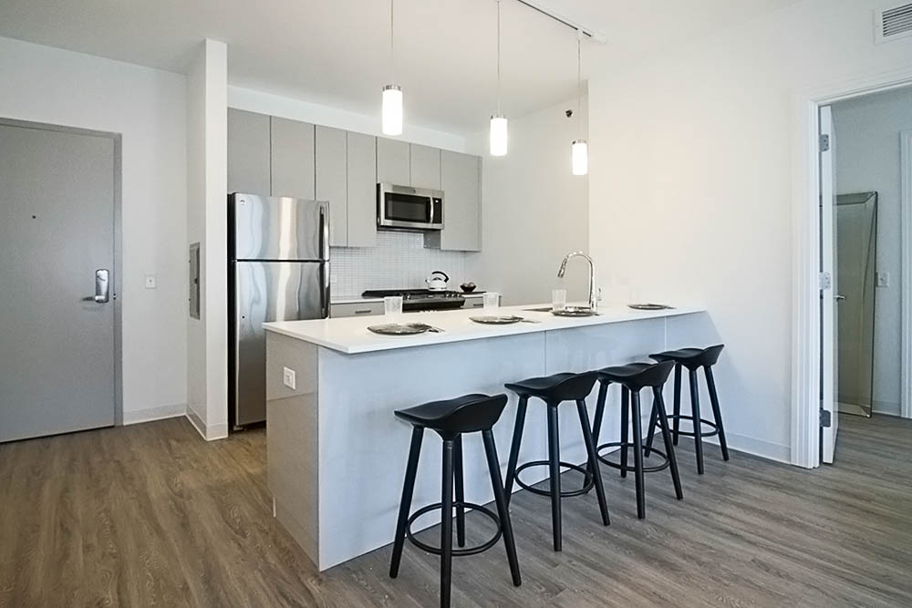 Chicago Condo: 806 W Van Buren