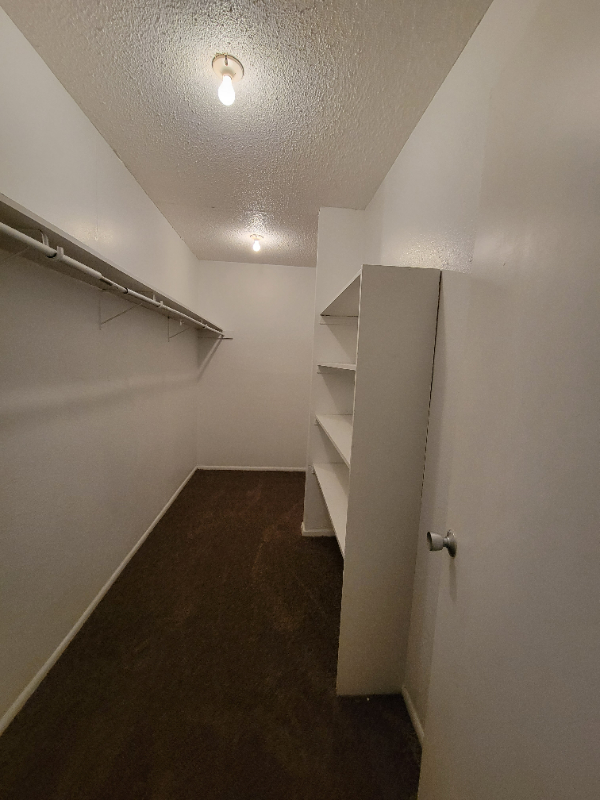San Antonio Multiplex: 203 Sprucewood