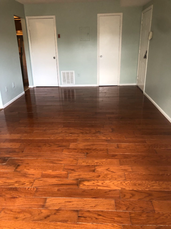 Edison Condo: 387 College Dr