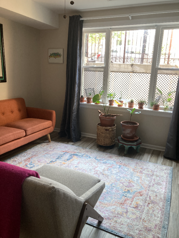Chicago Apartment: 1929 W 21st Pl