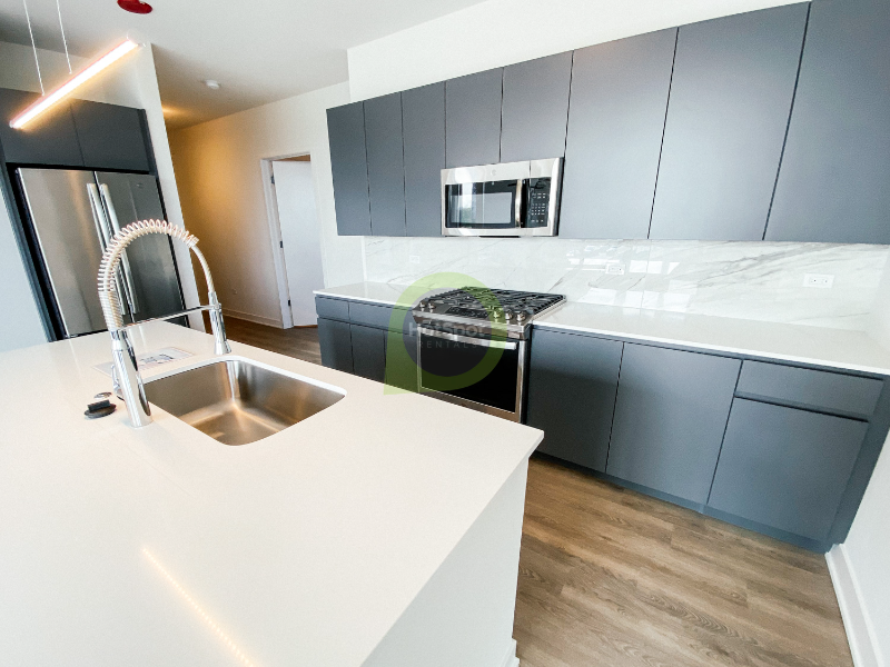 Chicago Apartment: 735 North Aberdeen street