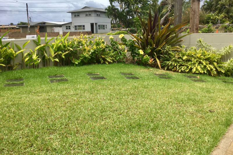 Honolulu Other: 4192B Kilauea Ave.