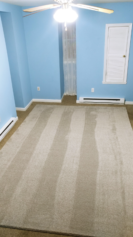 Westminster Apartment: 82 E Main St