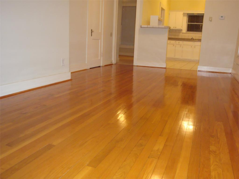 Houston Apartment: 401 Shelley St