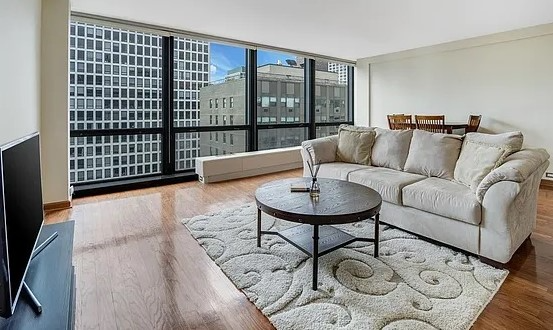 chicago Apartment: 900 N lakeshore dr