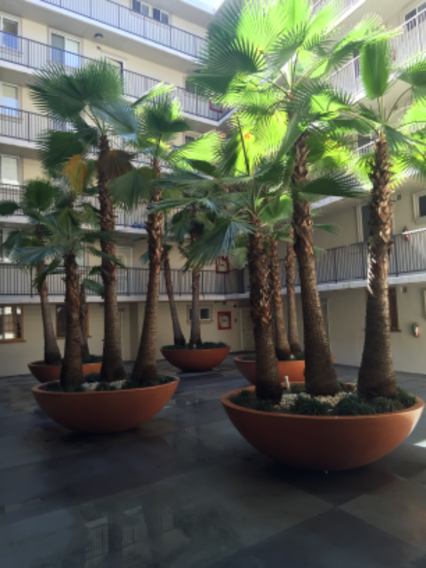 Hollywood Apartment: 7100 Hillside Ave