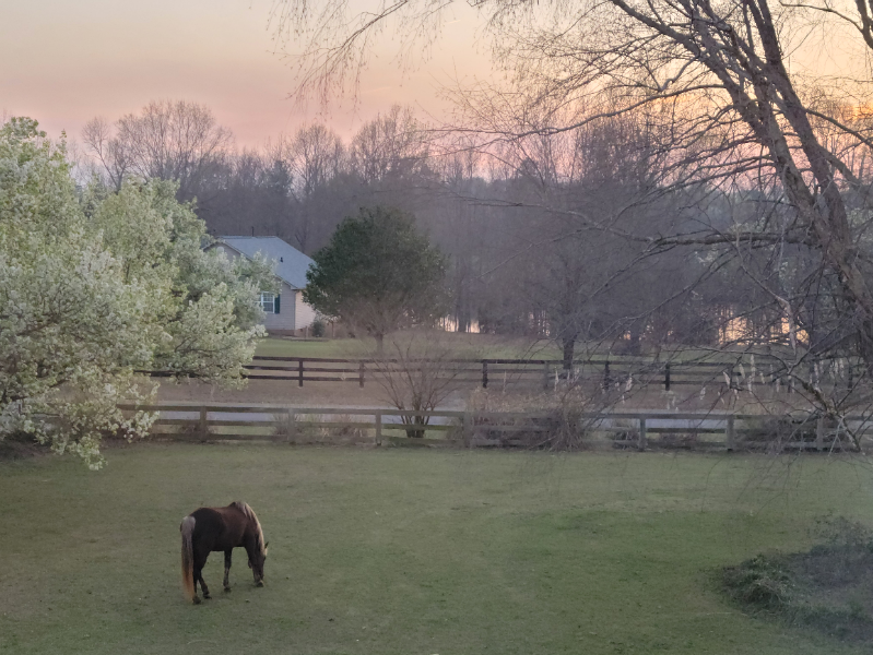 Angier Other: 359 Homestead Lane