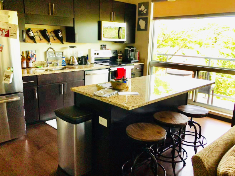 Madison Condo: 819 E Mifflin St