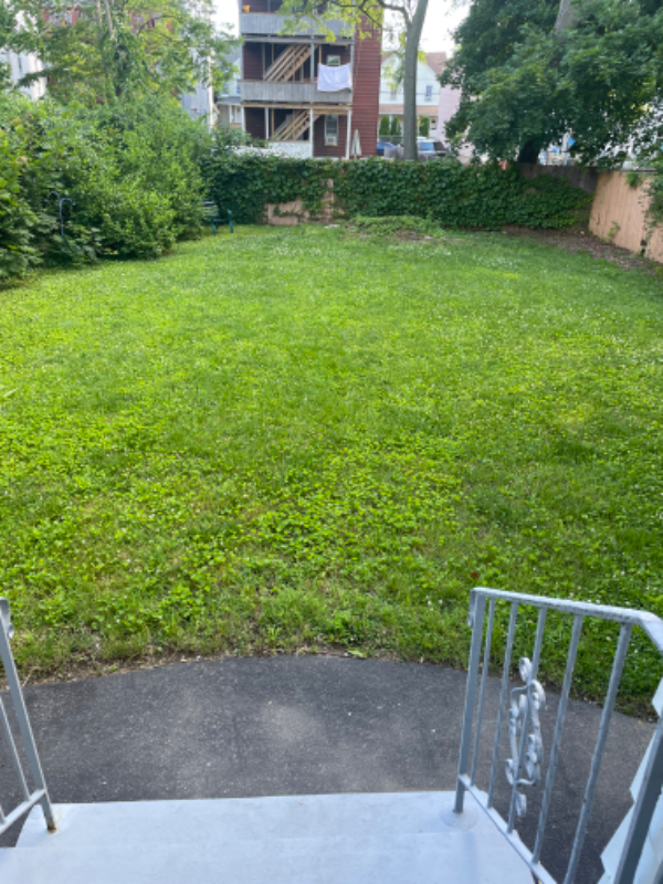 Bpt Multiplex: 139 poplar st