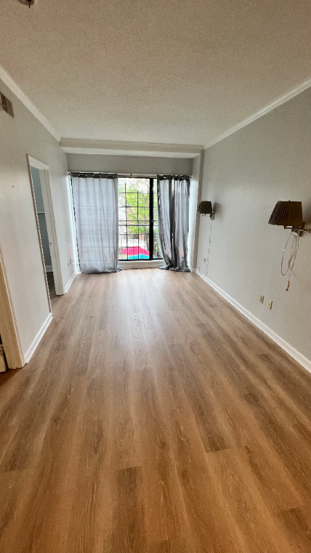 Columbia Condo: 2009 Greene st