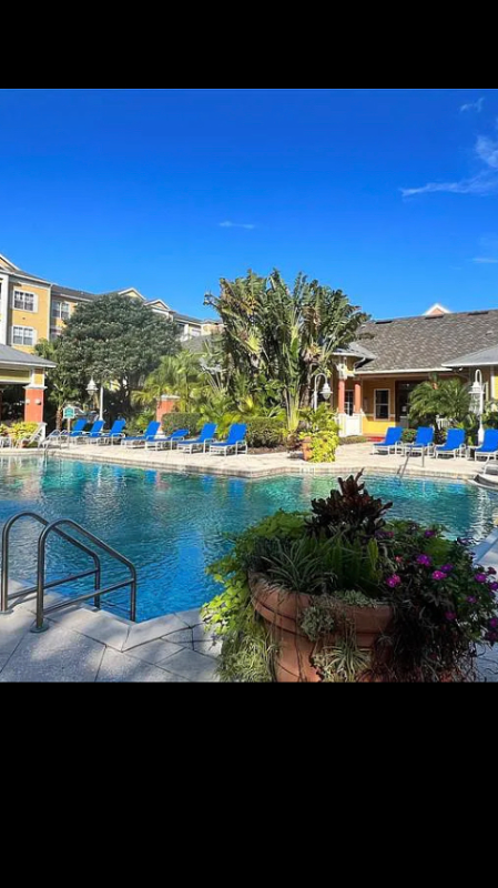 Tampa Condo: 4207 S Dale Mabry Hwy