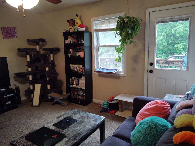 Lawrence Apartment: 1745 W 24th St