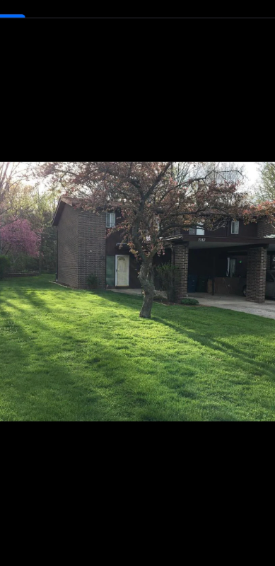 olmsted falls House: 9582 fernwood drive