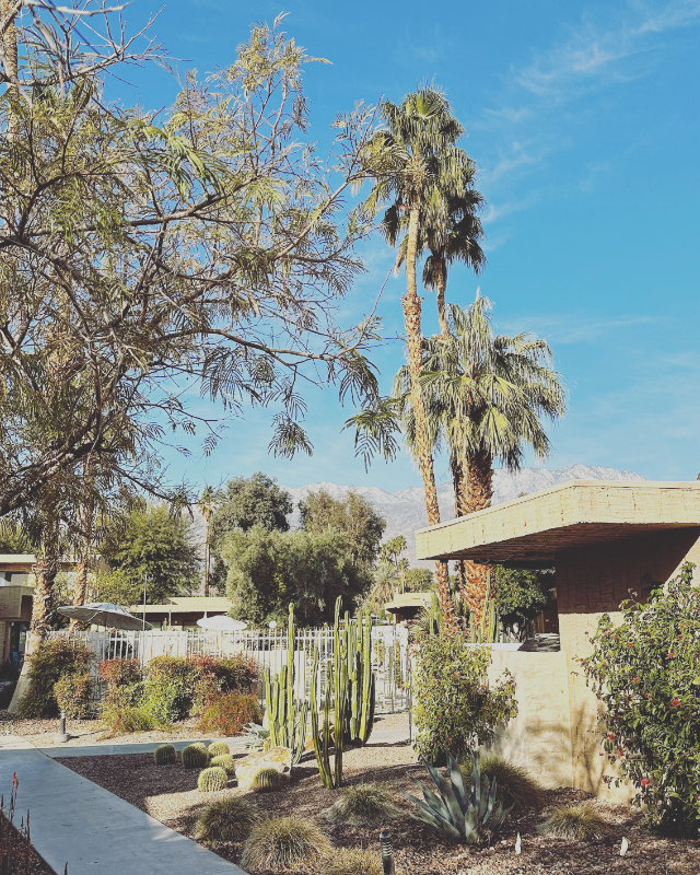 Palm Springs Townhome: 2303 Los Patos Dr