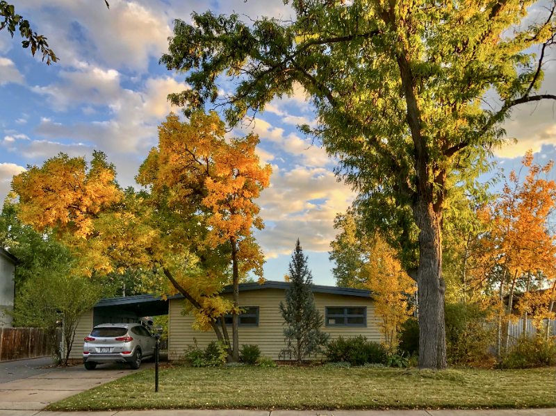 Fort Collins House: 821 Juniper Ln