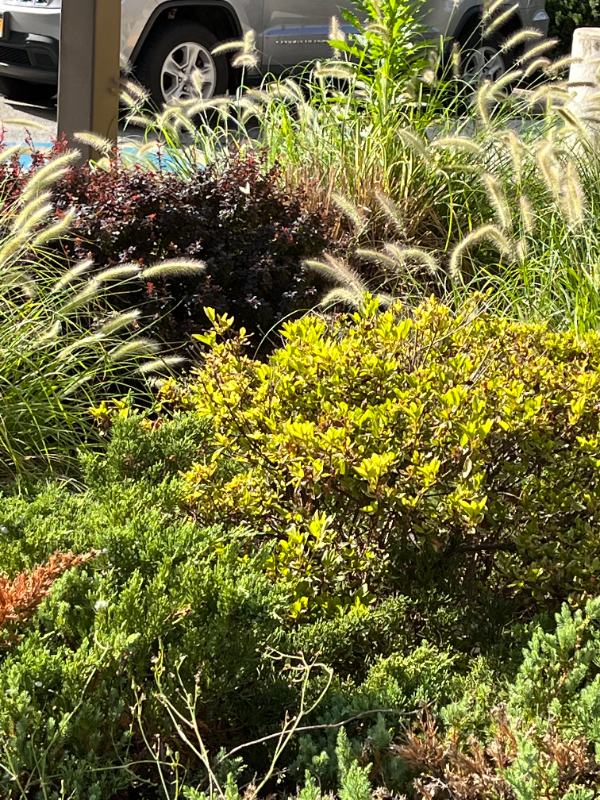 Peekskill House: 1036 Howard Street