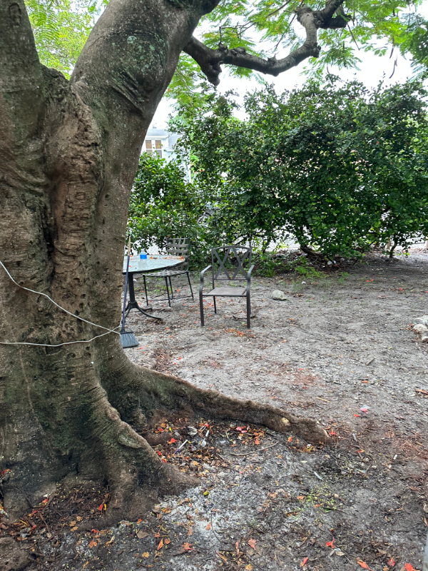 Hollywood Other: 1918 Sheridan St, Hollywood FL
