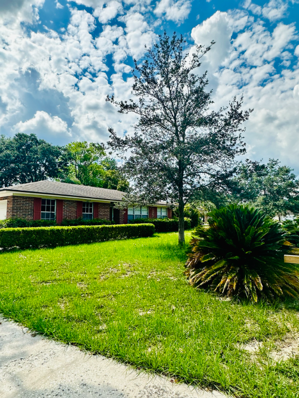 Orange Park House: 261 Dillon Dr