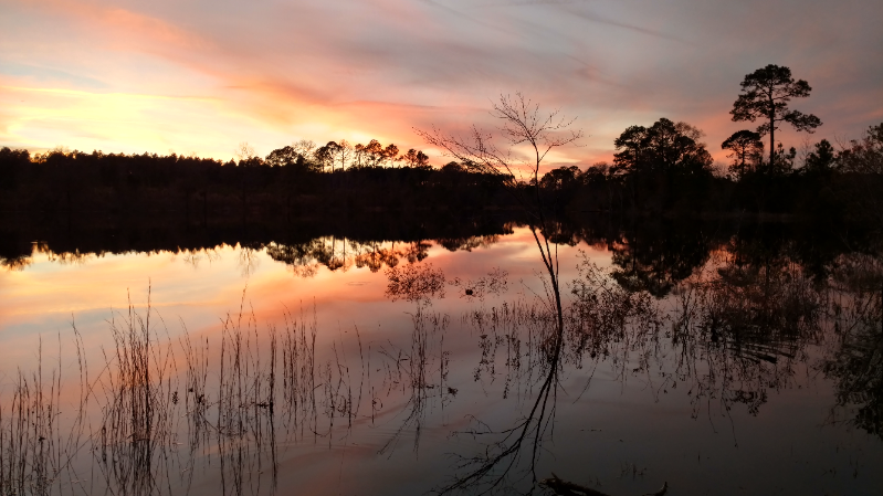 Lyons House: 1174 Mt. Moriah Rd.