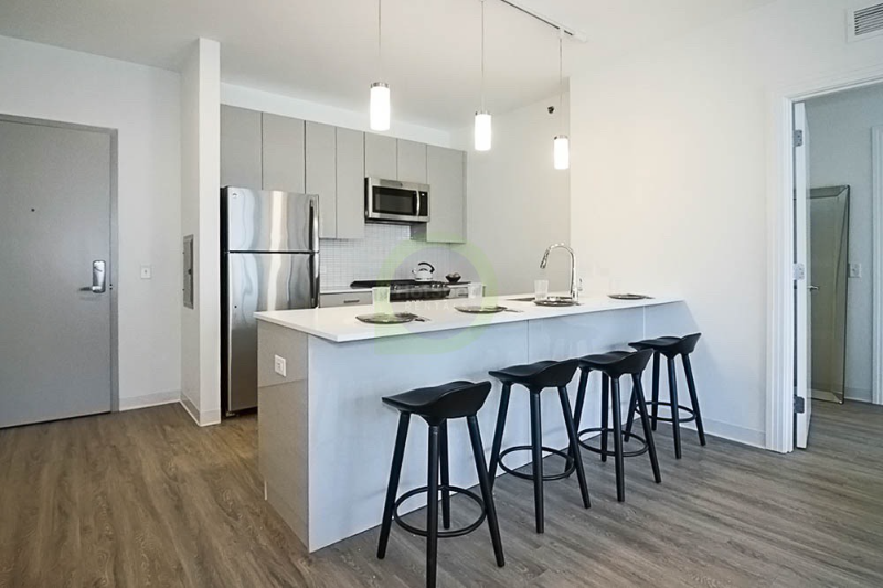 Chicago Condo: 830 West VanBuren