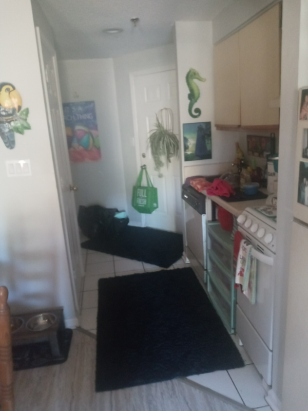 n myrtle beach Condo: 1100 possum trot rd