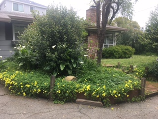 Walnut Creek Other: 0000 Overlook Drive (Private) Unit C