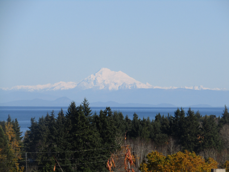 Port Angeles House: 1619 E 5th St