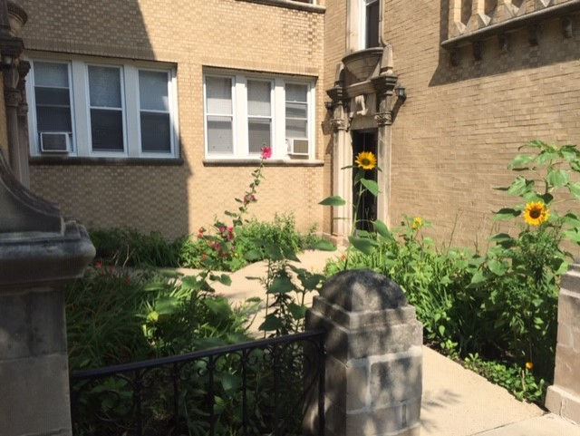 Chicago Apartment: 4008 N McVicker