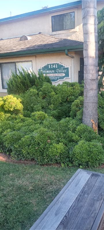 El Cajon Apartment: 1141 Persimmon Ave
