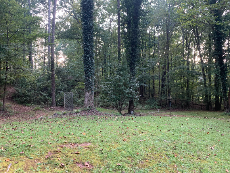 Snellville House: 4251 Mink Livsey Road