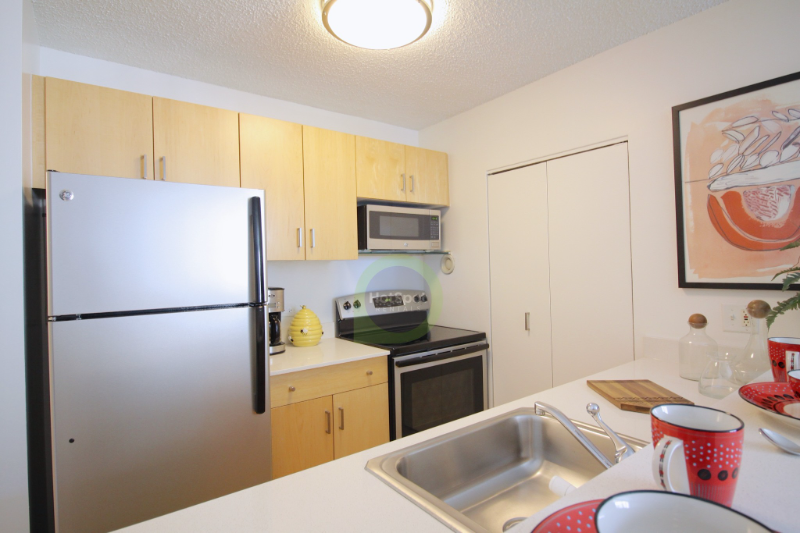 Chicago Condo: 760 North Dearborn St