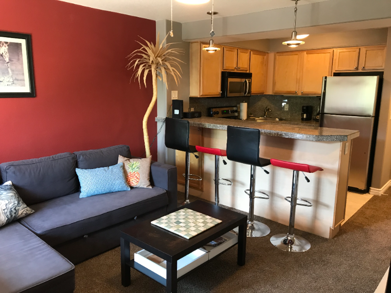 Denver Condo: 1833 N Williams St
