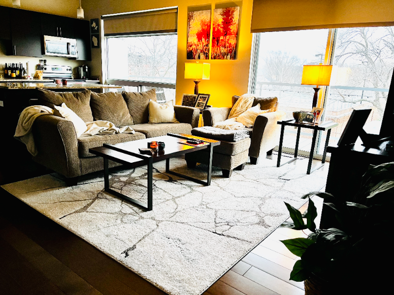 Madison Condo: 819 E Mifflin St