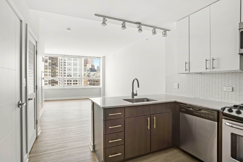 chicago Apartment: 741 west adams