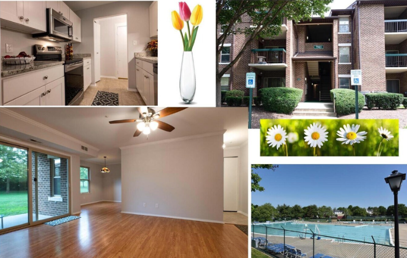 Gaithersburg Condo: 7903 Coriander Dr