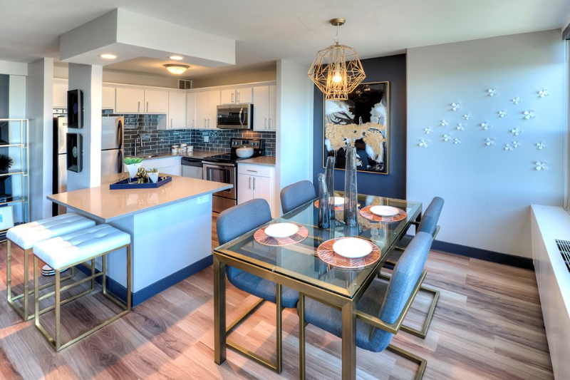 Chicago Condo: 1141 S Michigan Ave