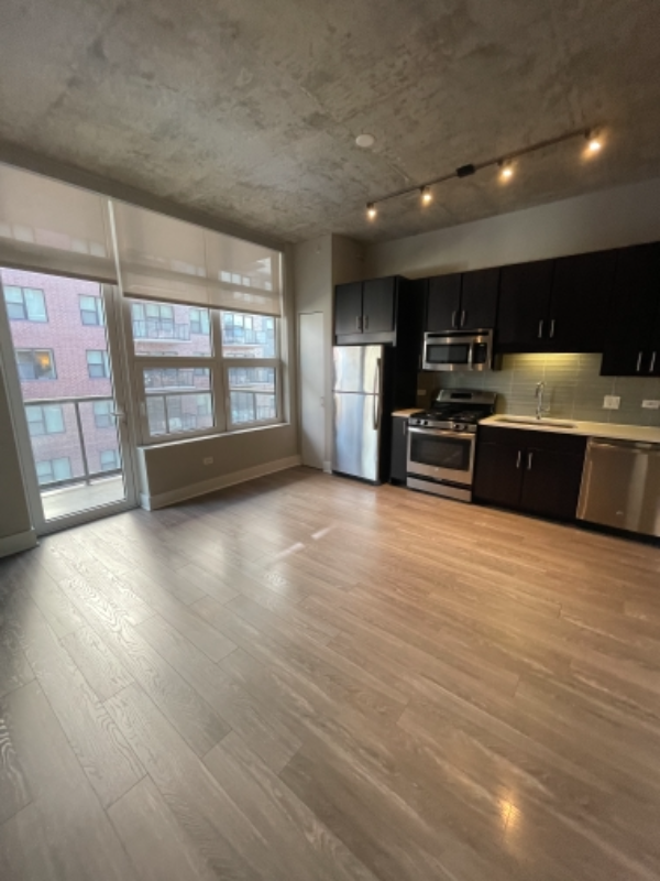 Chicago Condo: 883 S. Clark Street