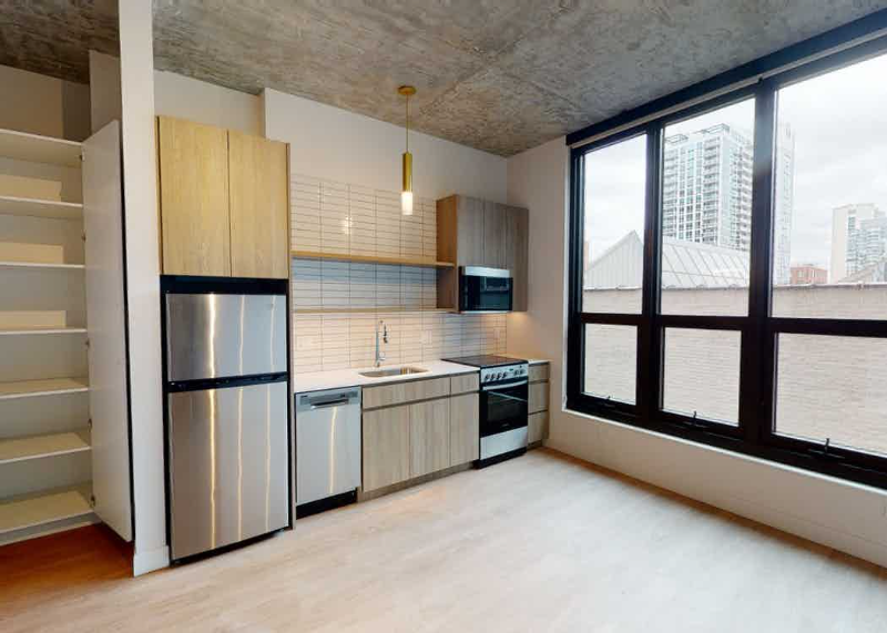 Chicago Condo: 815 N Wells St
