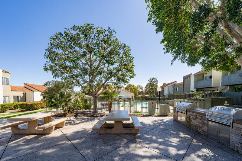 vista Apartment: 311 weston circle