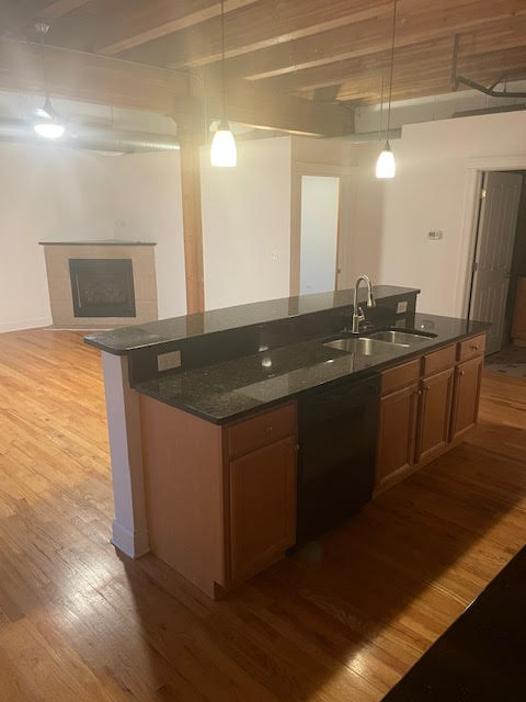 Chicago Condo: 500 N Damen Ave
