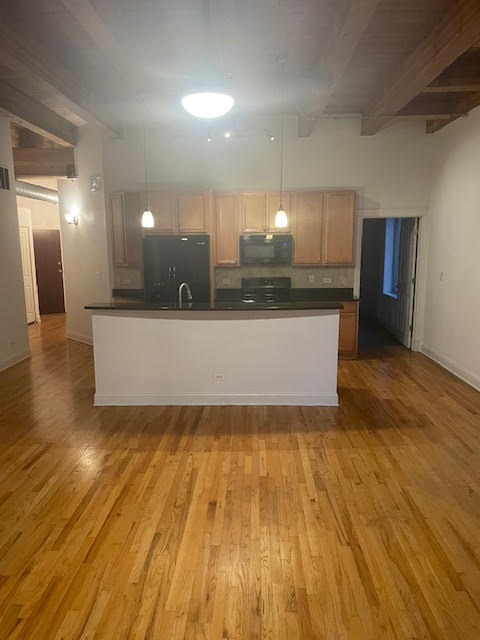 Chicago Condo: 500 N Damen Ave