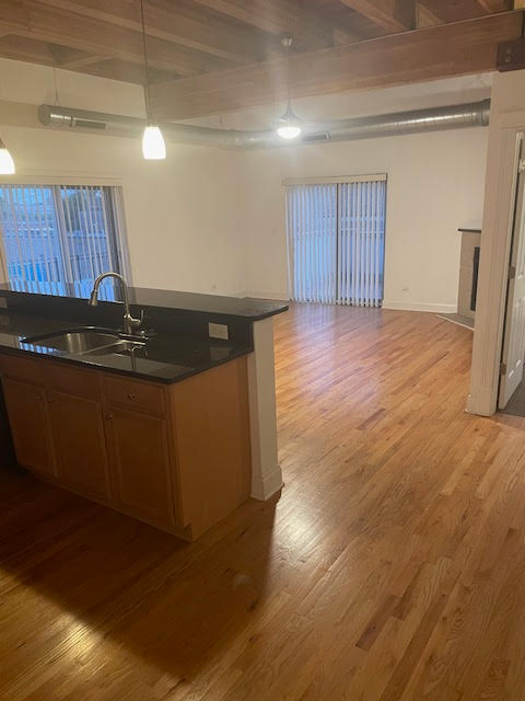 Chicago Condo: 500 N Damen Ave