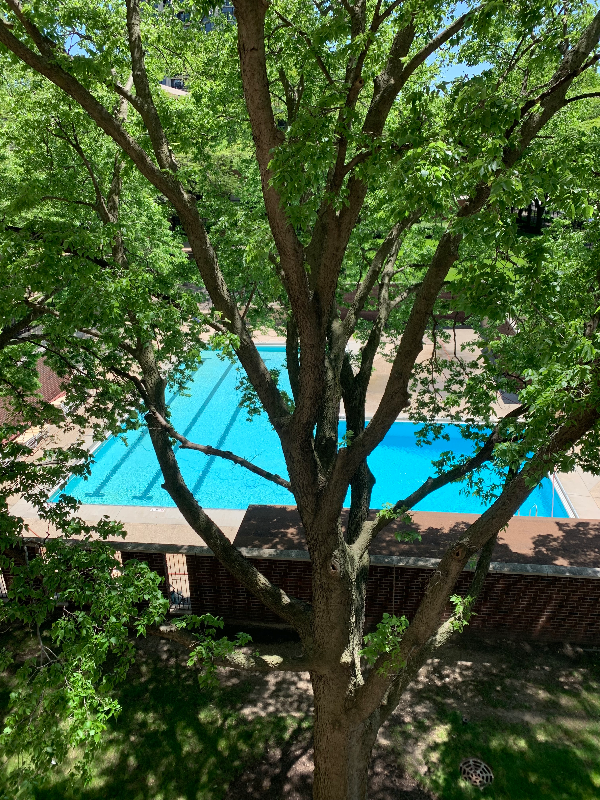 Chicago Condo: 2901 S Michigan