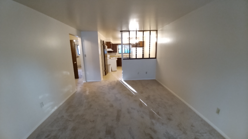 Fort Collins Apartment: 331 E Magnolia St