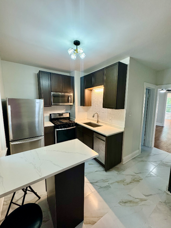 Chicago Multiplex: 1832 W Greenleaf Ave